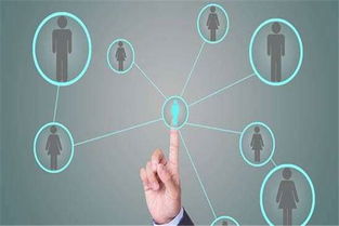 軟件定制開發(fā)流程詳解 互聯(lián)網(wǎng)銷售視角下的高效路徑